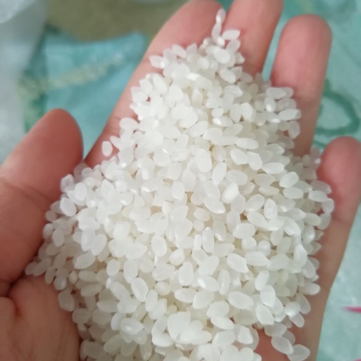 肇源县东北大米  新米上市，现磨现发，自产自销，东北大米