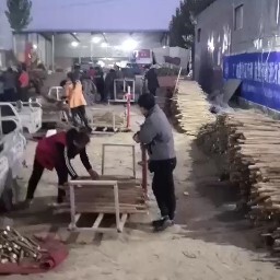 大名县白玉山药大量上市需要的客商速度联系。