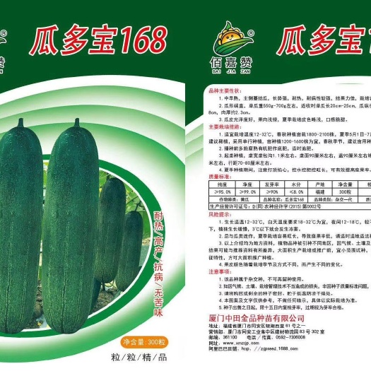 厦门水果黄瓜种子  瓜多宝168吊瓜黄瓜种子 中田金品