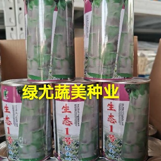 莴笋种子  红尖叶莴笋生态一号、纯度好，个头大，口感脆。