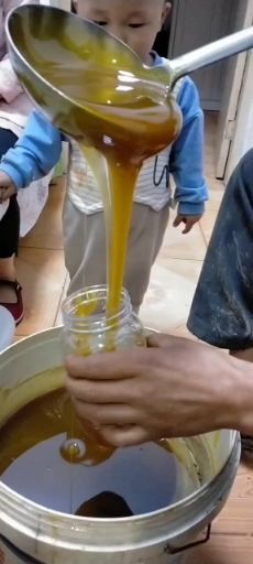 眉县 一年只取一次土蜂蜜