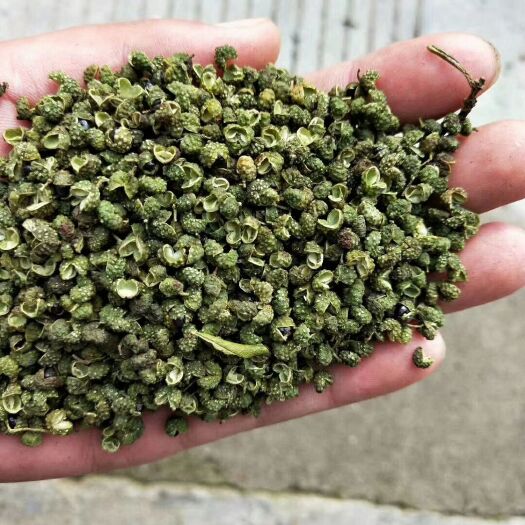 昭通青花椒  云南昭通花椒！