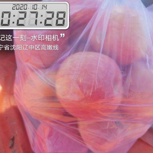 台安县寒富苹果  寒富果，全红，颜色好。果亮。欢迎抢购，苹果基地。