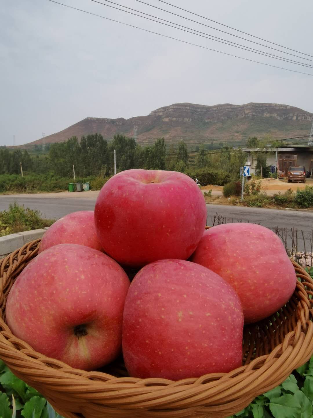 山东蒙阴红富士苹果大量上市一件代发包邮48小时发货