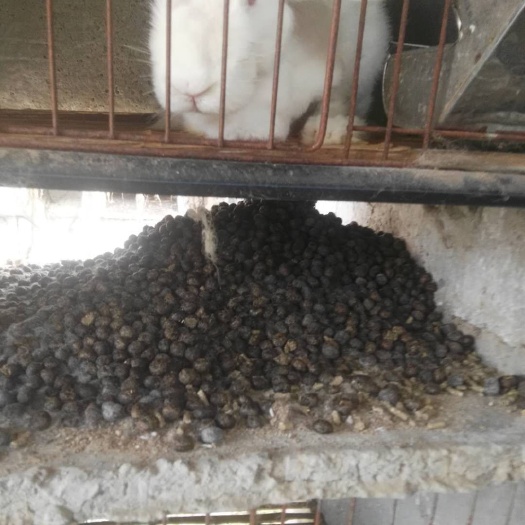 临泉县兔粪 风干 袋装 散装
