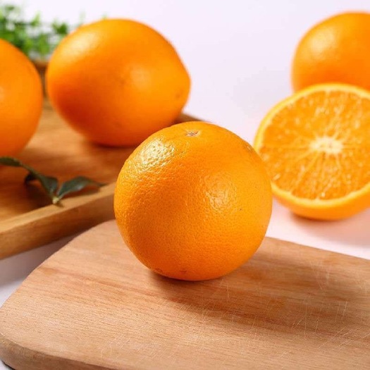 宁都县经过了一年的孕育我们的赣南脐橙🍊终于又要和大家见面了