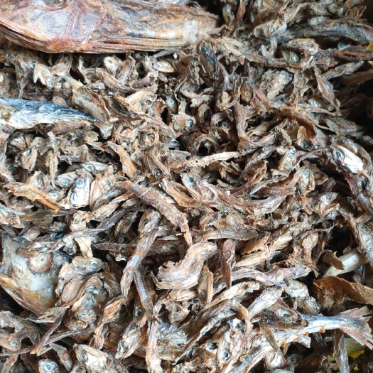 海兴县蛋白质补充饲料鱼干，海水鱼干杂鱼干渤海湾产地，熟鱼干以质论价
