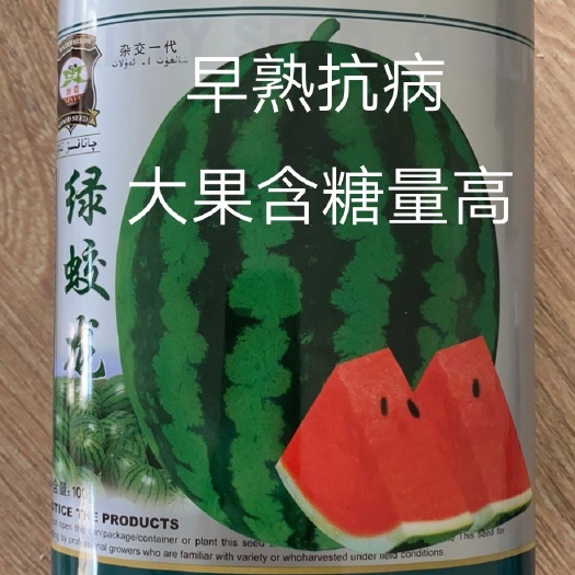 绿蛟龙甜王西瓜种子~早熟产量甜度高本公司有自已工厂苗厂实验田