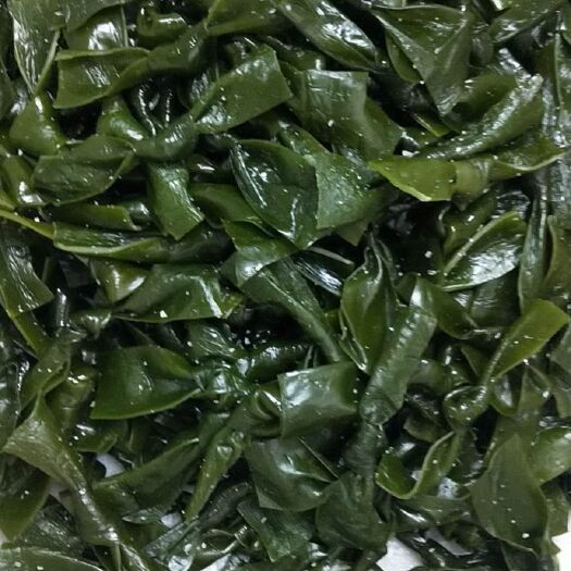 连江县 大连海带