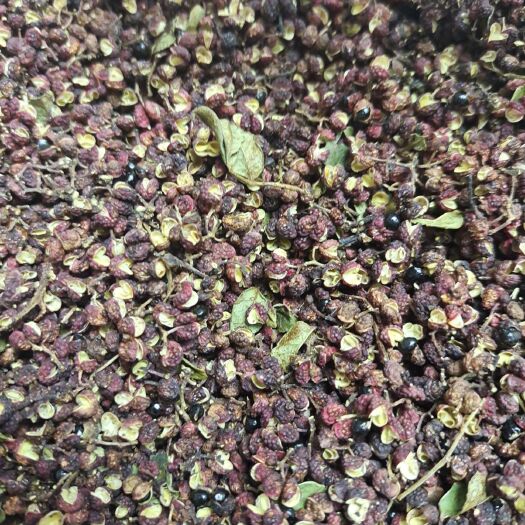 新郑市麻椒 特级 干花椒 