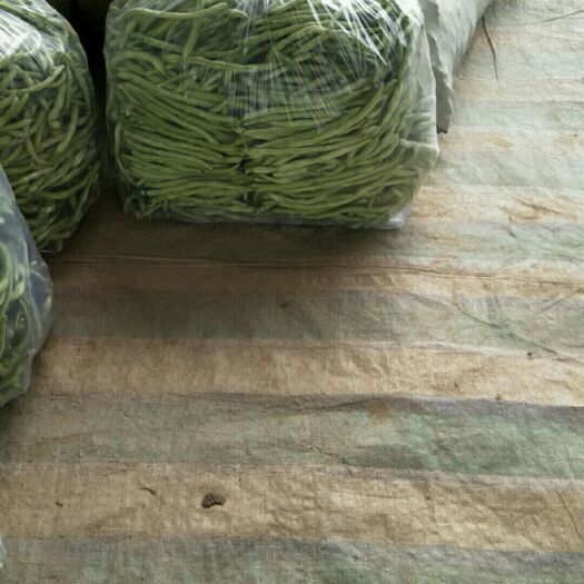 洪洞县架豆王豆角 白豆王批发代办