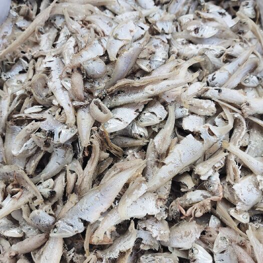 滨州小鱼干  特产上头鱼肉干货海鲜仔干小鱼海鱼干干鱼干货小干货小白鱼淡干