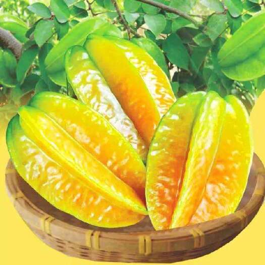 广州甜杨桃 4 - 5两