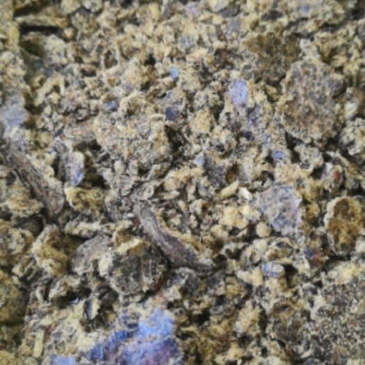 萧县禽畜用饲料