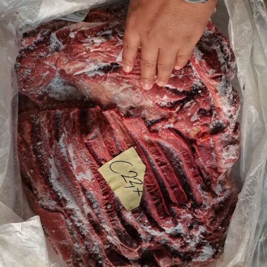 宁津县马肉  肋条颜色漂亮