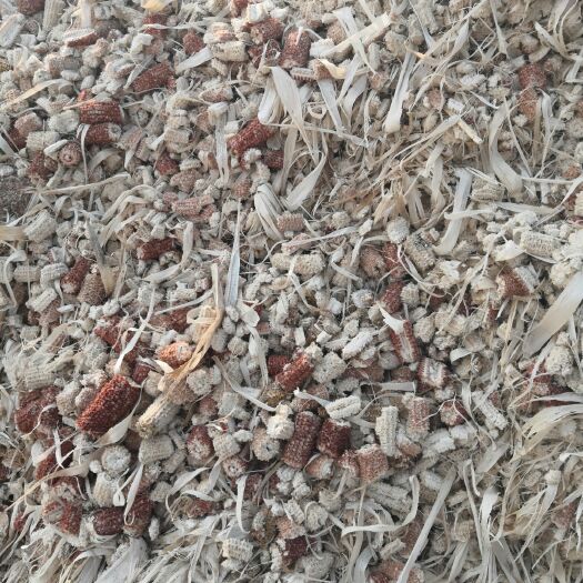 荣成市 玉米芯