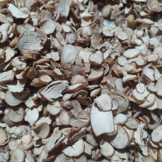 苍溪县正宗4年以上川白芍无硫机器薄片，含量好，道地产区，药性十足