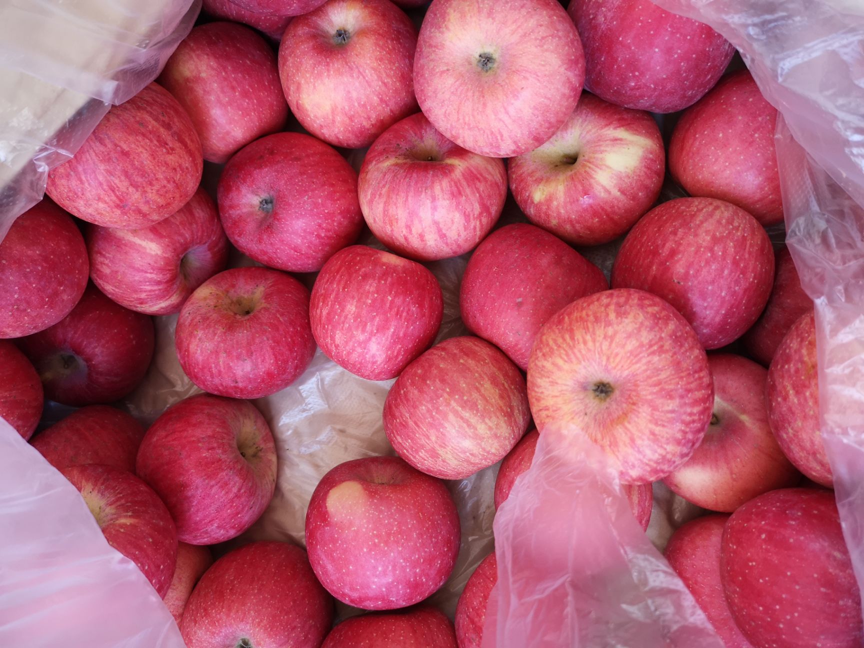 白水苹果  亿万人民的口福，精选优质白水酥脆红富士24枚商品75果家庭装