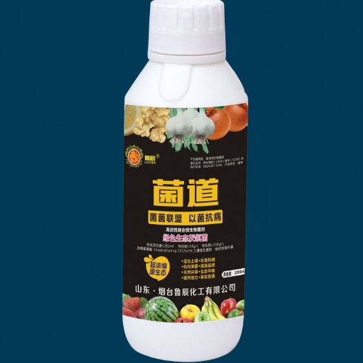 青州市专利菌剂—厌氧菌（复合微生物菌剂）
