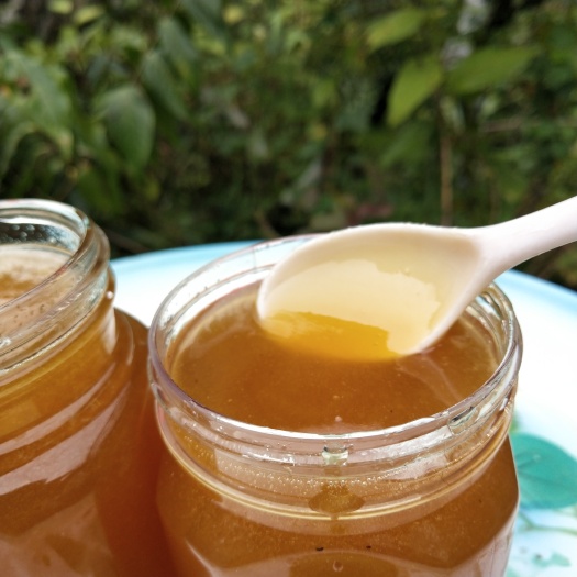 岚皋县土蜂蜜农家自产秦岭岚皋百花蜜高山正宗生态原蜜陕南包邮
