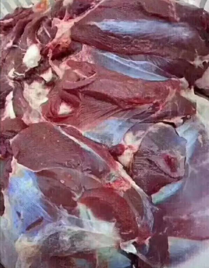 梅花鹿水泡 东北鹿肉