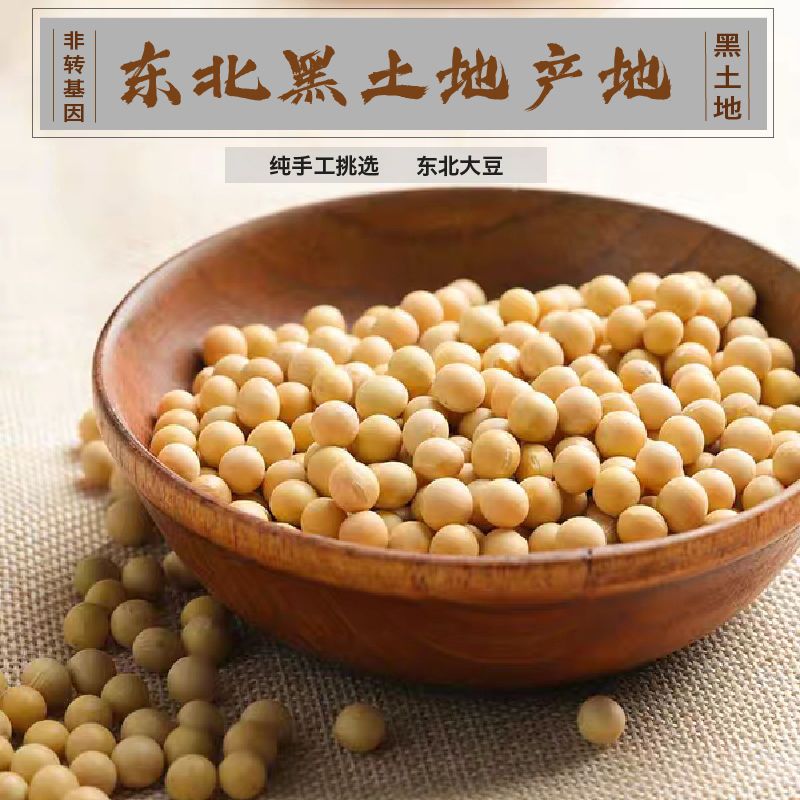 黄大豆  黑龙江东北特产九三大豆