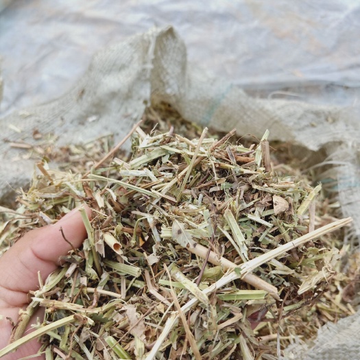 浚县 花生秧现货