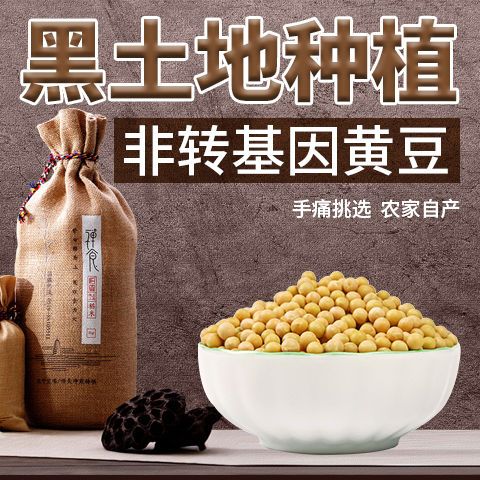 黄大豆  黑龙江东北特产九三大豆