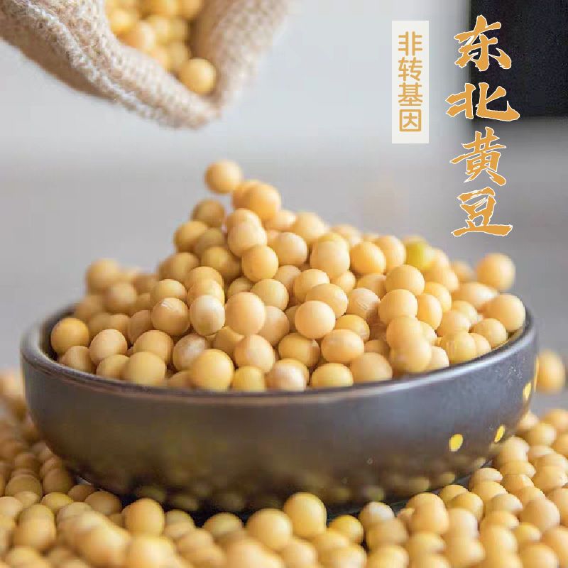 黄大豆  黑龙江东北特产九三大豆