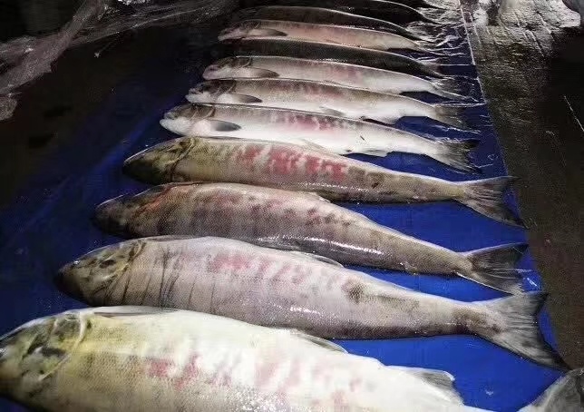 绥芬河市 现在订购中