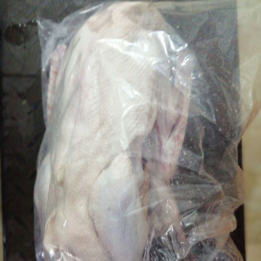 肇庆鹅肉类  醉鹅，闷鹅，鹅煲专用