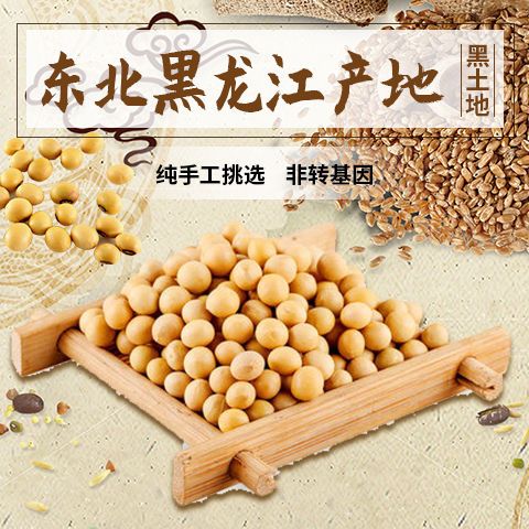 黄大豆  黑龙江东北特产九三大豆