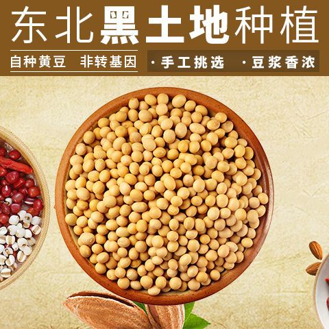黄大豆  黑龙江东北特产九三大豆