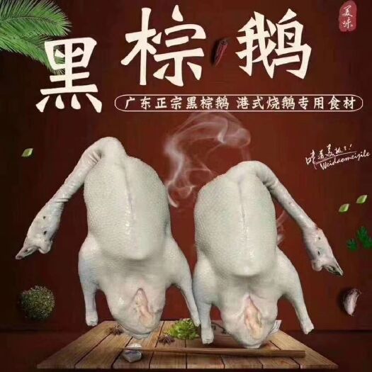 佛山白条鸭和白条鹅有人要吗？