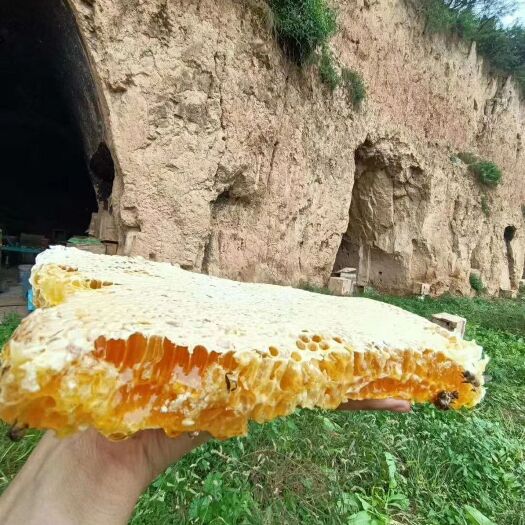 宝鸡秦岭蜂巢蜜，土蜂蜜一年只取一次