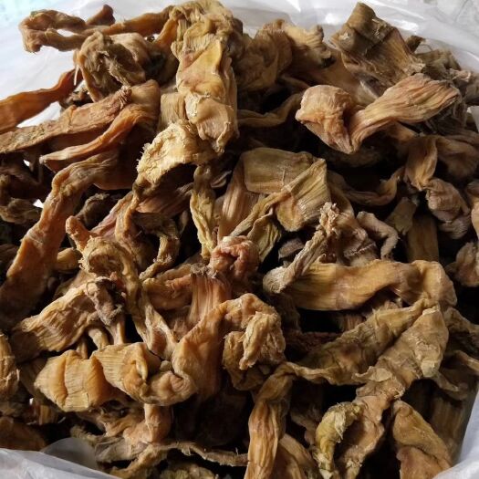 桐梓县 正宗箐坝方竹笋剂原干货需要的朋友请联系