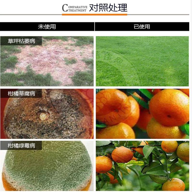 国光咪鲜胺必鲜柑橘保鲜绿霉病草坪枯萎病芒果炭疽病稻曲病杀菌剂