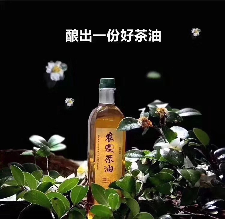 压榨山茶油  高山茶油