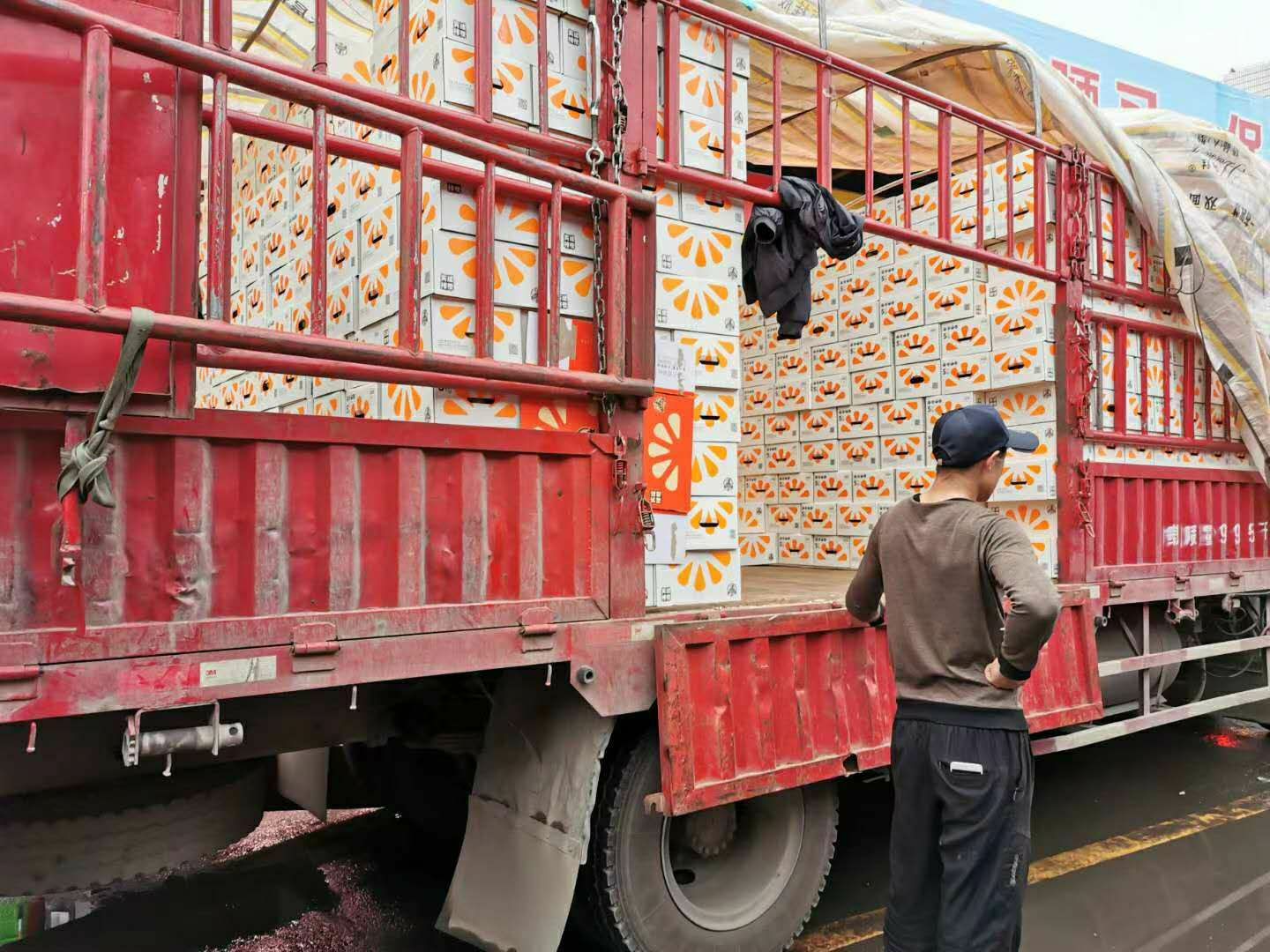 正品实建褚橙冰糖橙（代发，点此处够买）