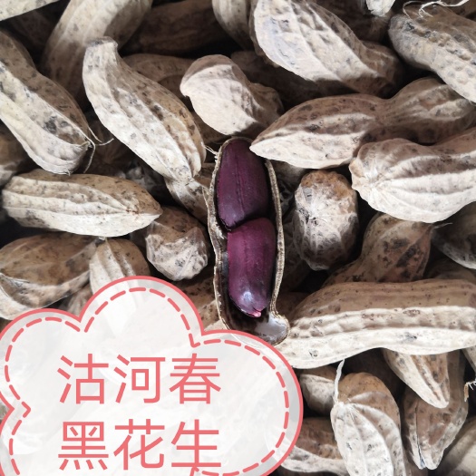 黑花生，精选，干净，口感细腻柔软，香脆可口！