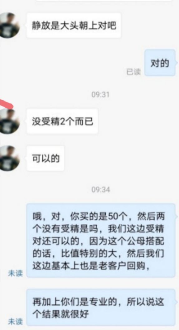 火鸡蛋  火鸡种蛋，受精蛋，可孵化优质青铜贝蒂娜尼古拉包邮包路损受精