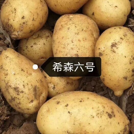克什克腾希森6号 3两以上 