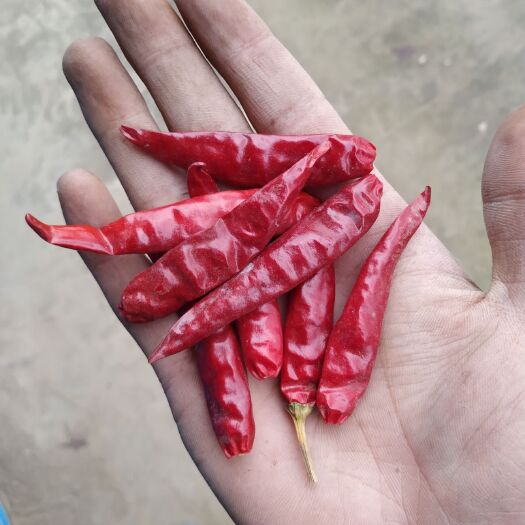 成武县朝天椒干辣椒 