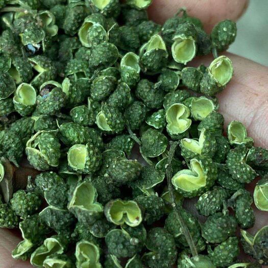 重庆市江津货青花椒 今年新货