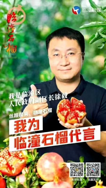 西安草莓番石榴  临潼秦始皇脚下的仙果