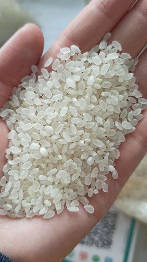 北京品种好的食用大米 一等品 一季稻 粳米 