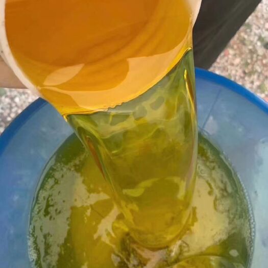 和平县压榨山茶油  高山茶油