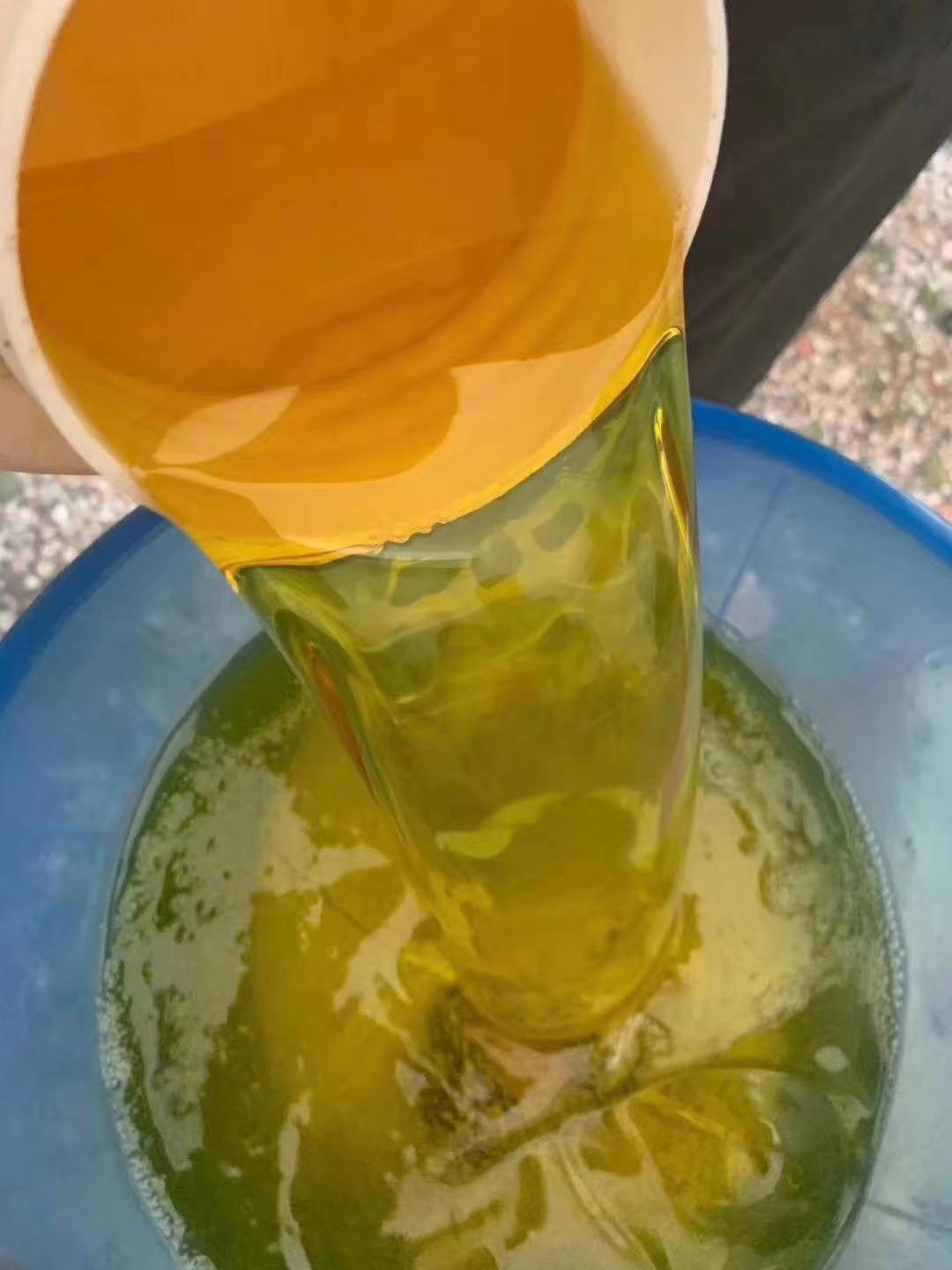 压榨山茶油  高山茶油