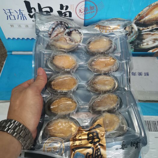 半紋鮑  鮑魚 熟凍鮑魚 一手貨源 6粒、8粒、10粒