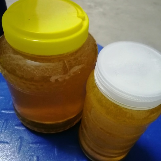100％高山土蜂蜜/冬天结冰蜂蜜